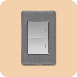 Interruptor doble plata