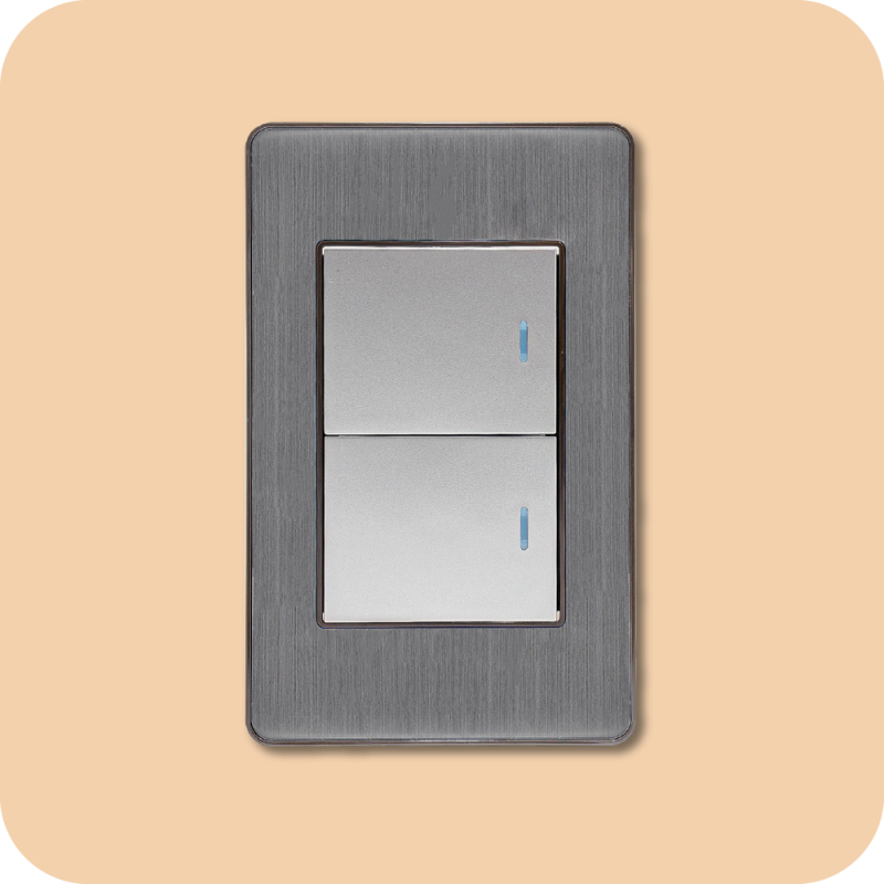Interruptor doble plata