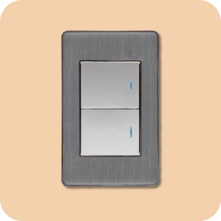 Interruptor doble plata